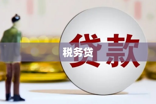广元税务贷