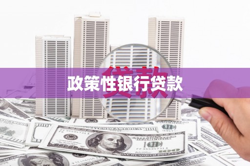 广元政策性银行贷款