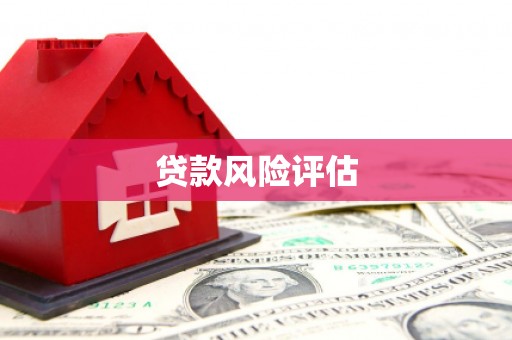 广元贷款风险评估