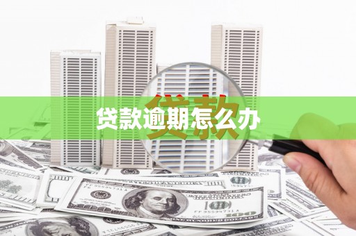 广元贷款逾期怎么办
