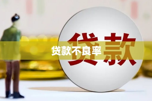 广元贷款不良率