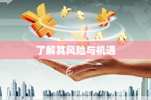 广元了解其风险与机遇