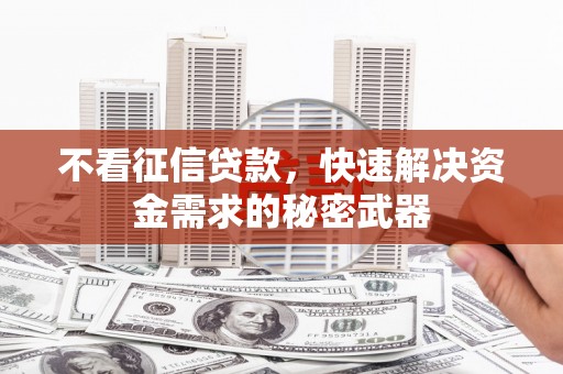 广元不看征信贷款，快速解决资金需求的秘密武器