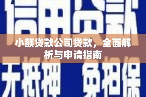 广元小额贷款公司贷款，全面解析与申请指南