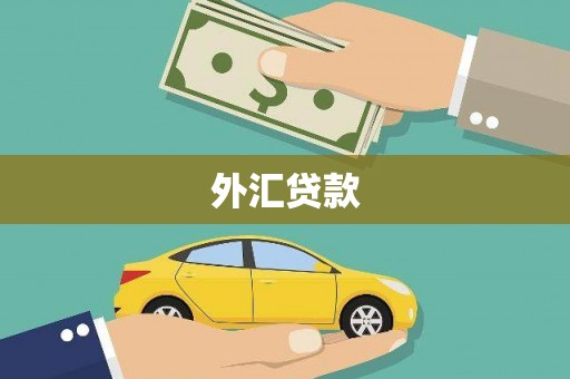 广元外汇贷款