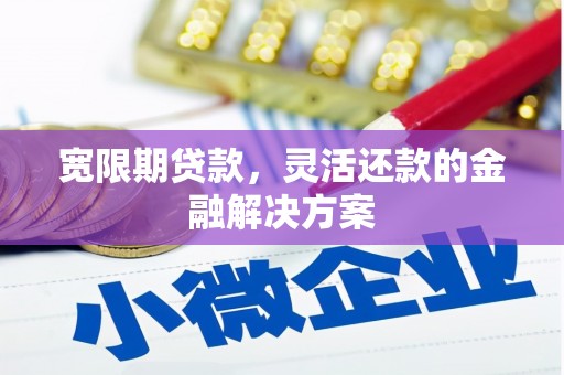 广元宽限期贷款，灵活还款的金融解决方案