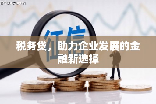 广元税务贷，助力企业发展的金融新选择