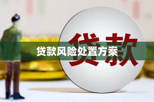 广元贷款风险处置方案