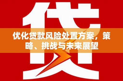 广元优化贷款风险处置方案，策略、挑战与未来展望
