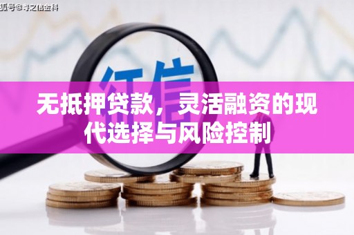 广元无抵押贷款，灵活融资的现代选择与风险控制