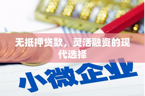 广元无抵押贷款，灵活融资的现代选择