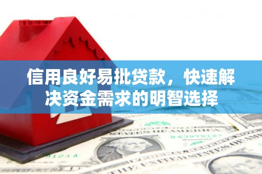 广元信用良好易批贷款，快速解决资金需求的明智选择