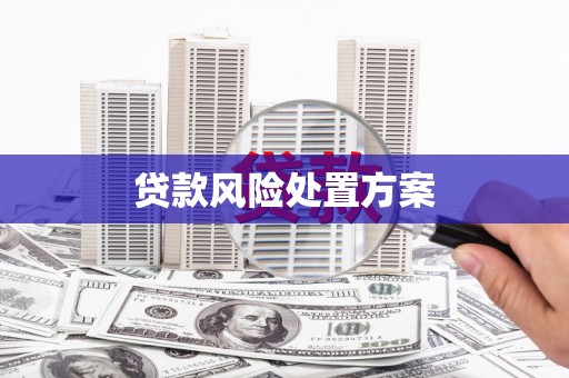广元贷款风险处置方案