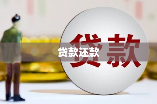 广元贷款还款