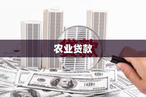 广元农业贷款