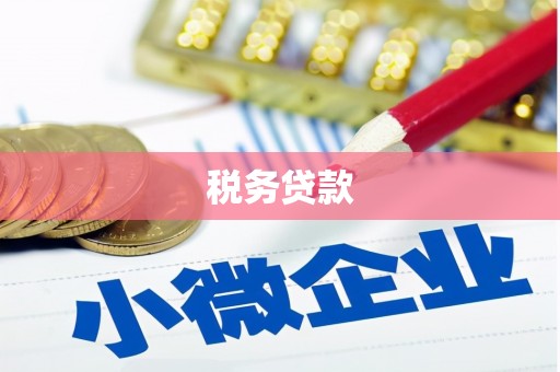 广元税务贷款