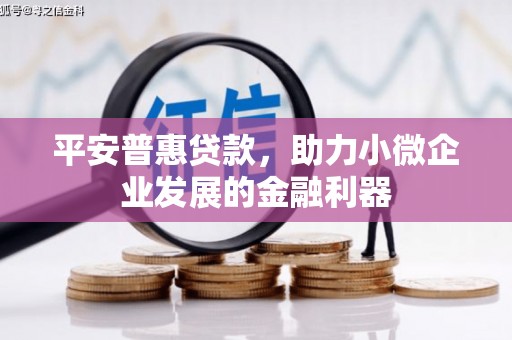广元平安普惠贷款，助力小微企业发展的金融利器
