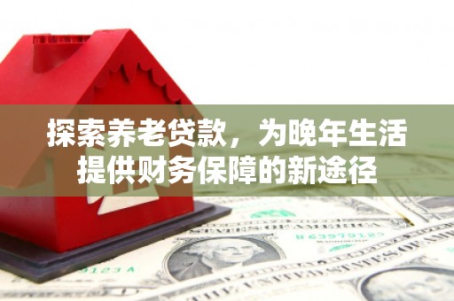 广元探索养老贷款，为晚年生活提供财务保障的新途径
