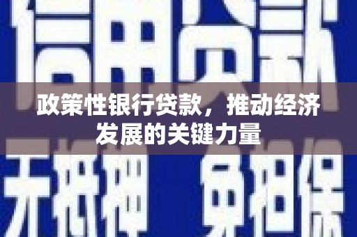 广元政策性银行贷款，推动经济发展的关键力量