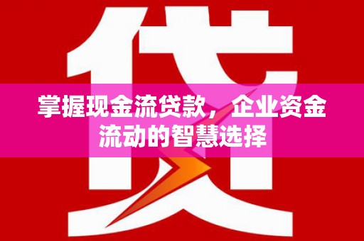 广元掌握现金流贷款，企业资金流动的智慧选择