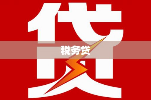 广元税务贷