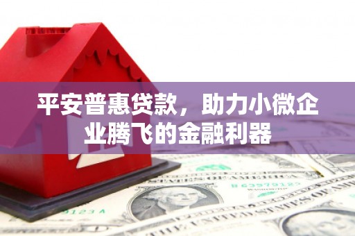 广元平安普惠贷款，助力小微企业腾飞的金融利器