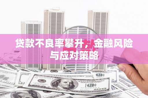 广元贷款不良率攀升，金融风险与应对策略