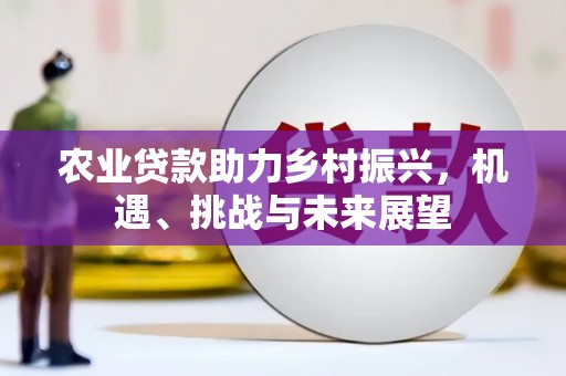 广元农业贷款助力乡村振兴，机遇、挑战与未来展望