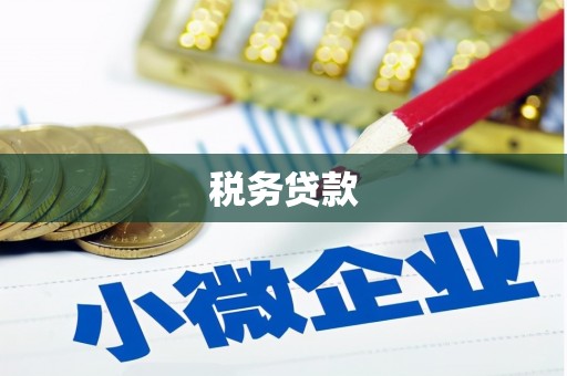 广元税务贷款