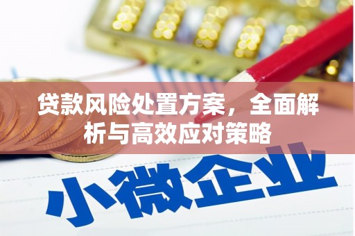 广元贷款风险处置方案，全面解析与高效应对策略