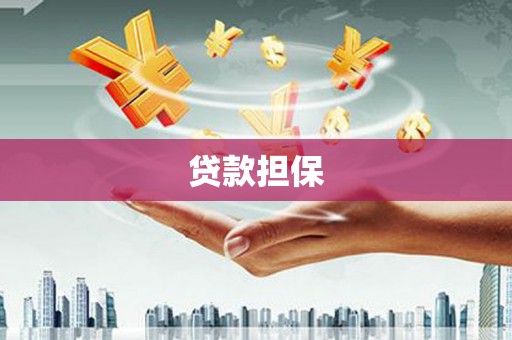 广元贷款担保