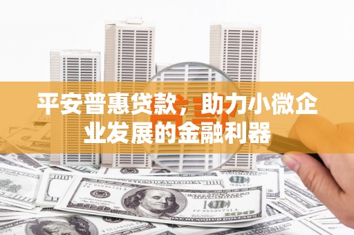 广元平安普惠贷款，助力小微企业发展的金融利器