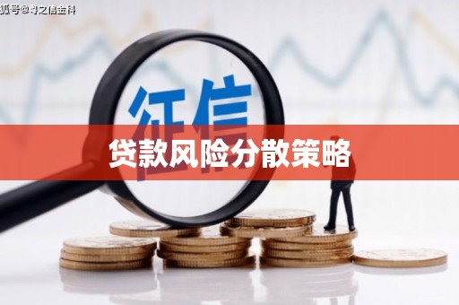 广元贷款风险分散策略