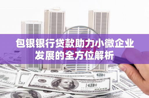 广元包银银行贷款助力小微企业发展的全方位解析