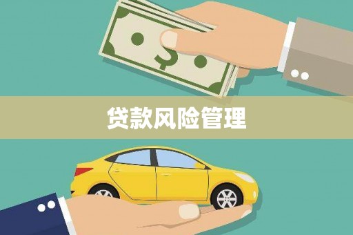 广元贷款风险管理