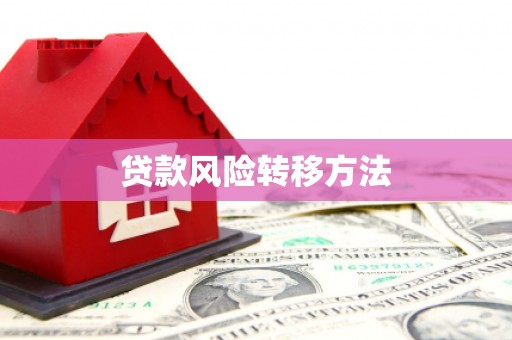 广元贷款风险转移方法