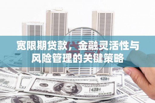 广元宽限期贷款，金融灵活性与风险管理的关键策略