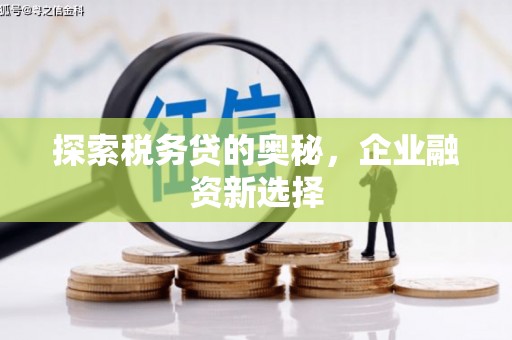 广元探索税务贷的奥秘，企业融资新选择