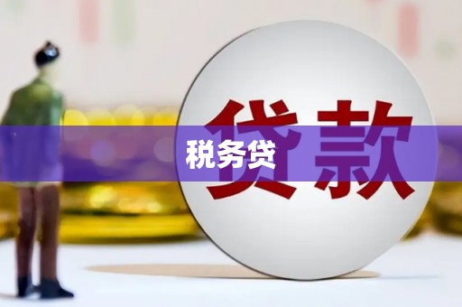 广元税务贷
