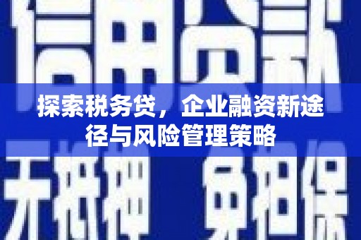 广元探索税务贷，企业融资新途径与风险管理策略