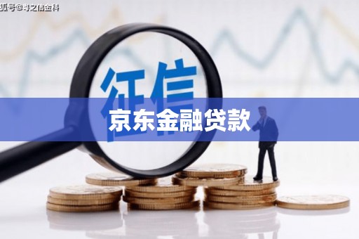 广元京东金融贷款