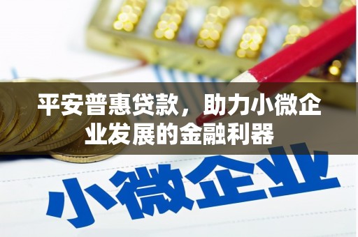 广元平安普惠贷款，助力小微企业发展的金融利器