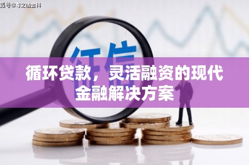 广元循环贷款，灵活融资的现代金融解决方案