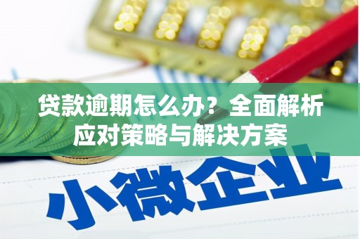 广元贷款逾期怎么办？全面解析应对策略与解决方案