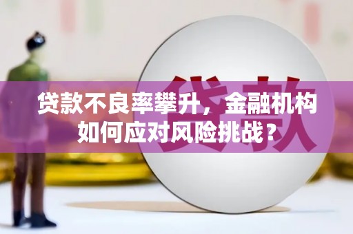 广元贷款不良率攀升，金融机构如何应对风险挑战？