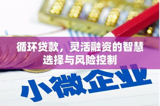 广元循环贷款，灵活融资的智慧选择与风险控制