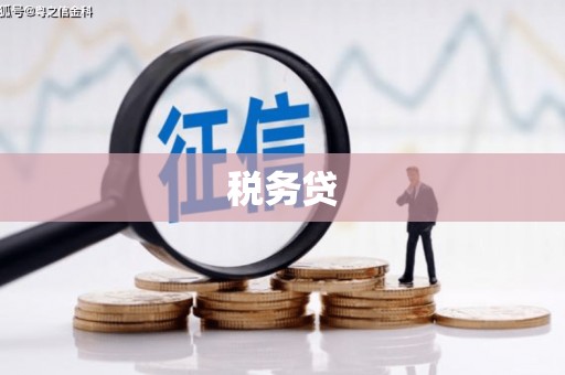 广元税务贷