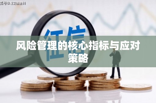 广元风险管理的核心指标与应对策略