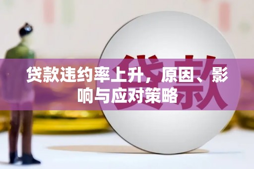 广元贷款违约率上升，原因、影响与应对策略