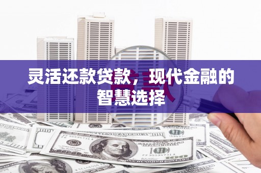 广元灵活还款贷款，现代金融的智慧选择